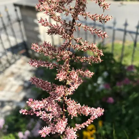 Guerth * Kleinhennersdorf