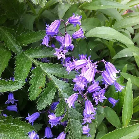 Appartement Guerth Kleinhennersdorf