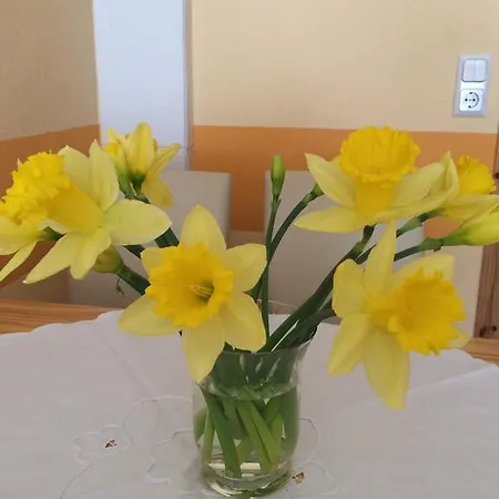 Guerth アパート *