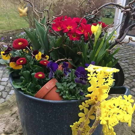 Guerth * Kleinhennersdorf