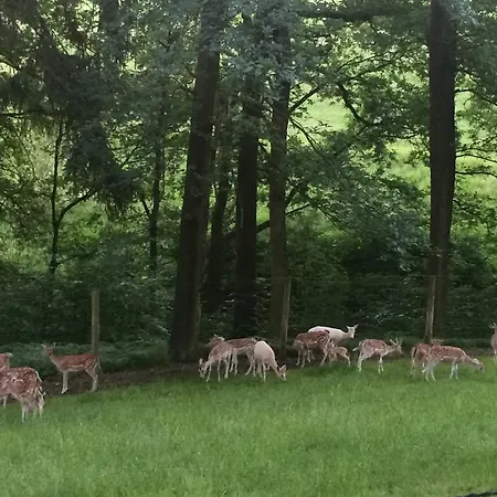 アパート Guerth Kleinhennersdorf