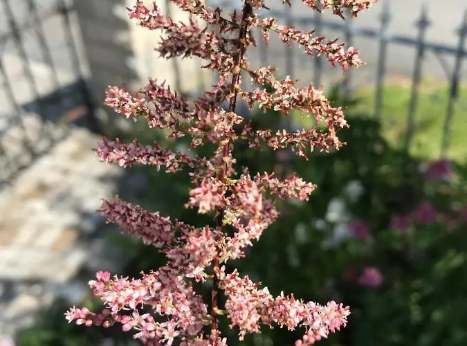 Guerth * Kleinhennersdorf