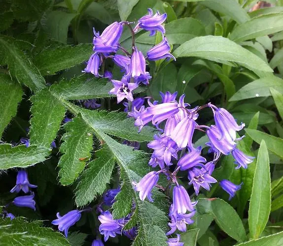 Appartement Guerth Kleinhennersdorf