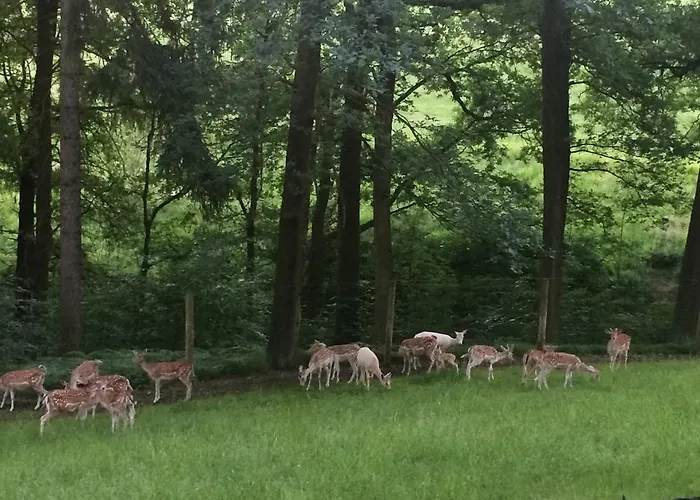 Appartement Guerth Kleinhennersdorf