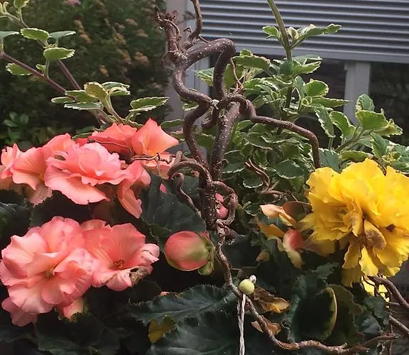 Guerth Appartement *